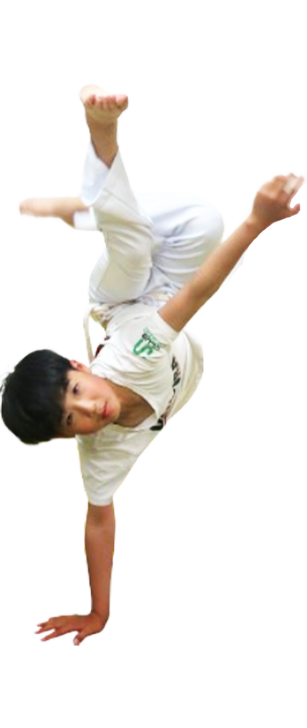 capoeira camara au malandro